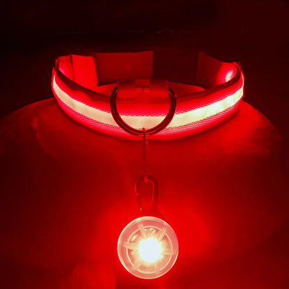 夜も安心 光って守るUSB充電式LEDペットカラー
