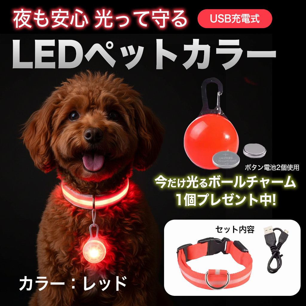夜も安心 光って守るUSB充電式LEDペットカラー