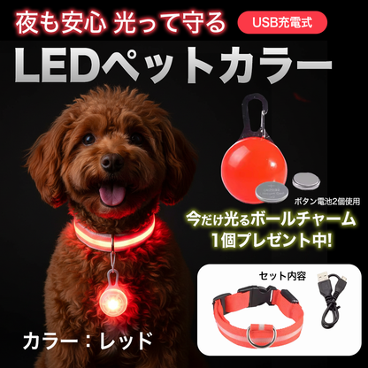 夜も安心 光って守るUSB充電式LEDペットカラー