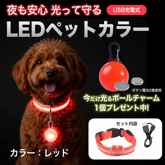 夜も安心 光って守るUSB充電式LEDペットカラー